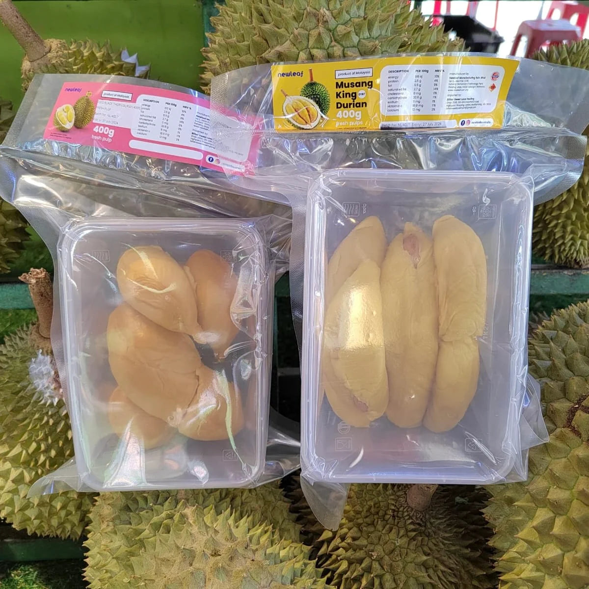 Sydney Pre-Order - Musang King 1 August