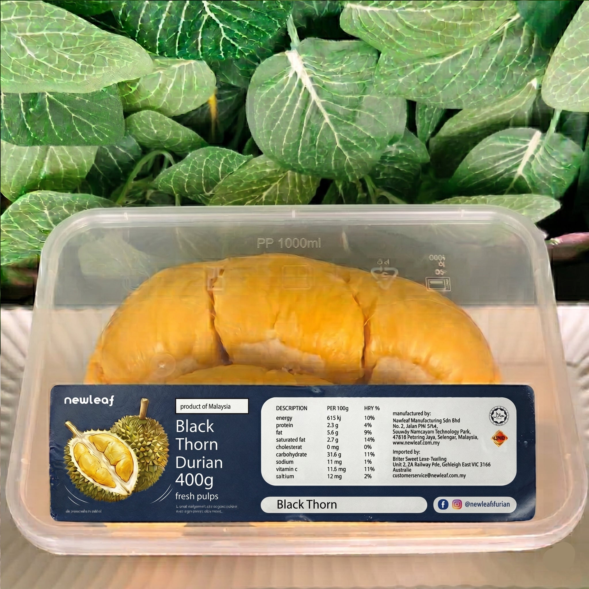 Newleaf - Black Thorn 黑刺 - 400g Fresh - 20 June 2026